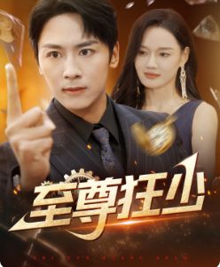 至尊狂少 第61-80集