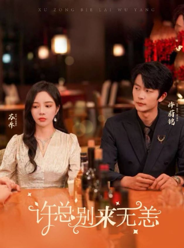 许总别来无恙 第41-67集完结(大结局)