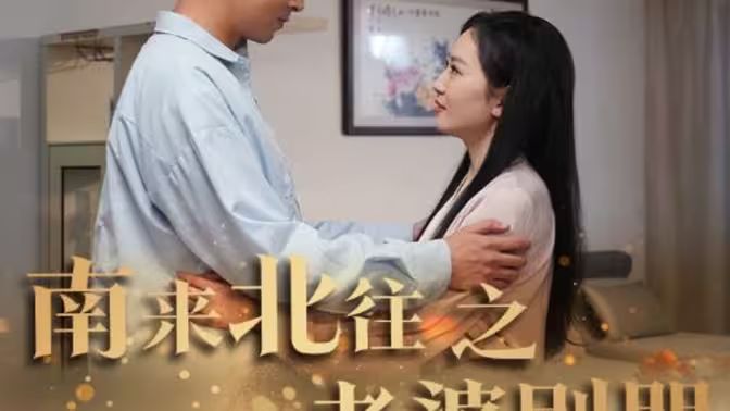 南来北往之老婆别哭 第41-60集