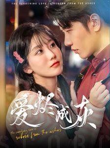 爱烬成灰 第41-60集