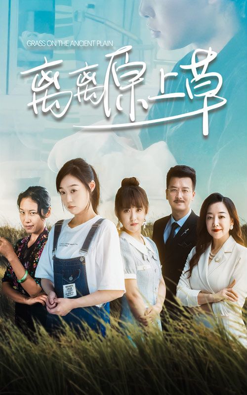 离离原上草 第41-60集