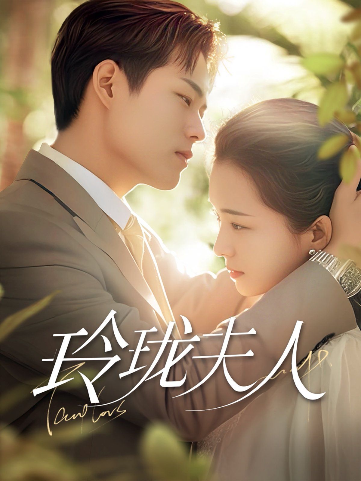 玲珑夫人 第21-40集