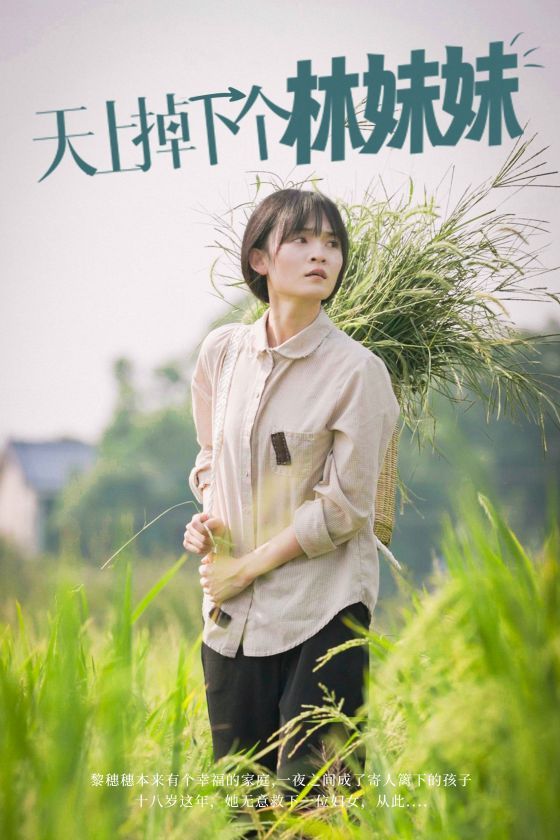 天上掉下个林妹妹 第61-81集完结(大结局)