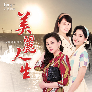 美丽人生台版 第104集