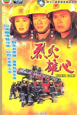 烈火雄心国语 第38集