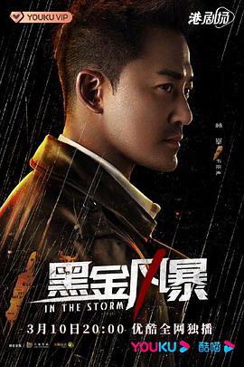 黑金风暴粤语 第03集