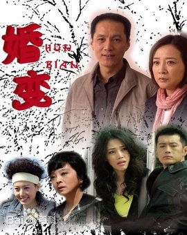 婚变 第12集