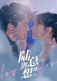 陆总别想逃 第29集