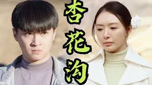 桃花沟（杏花沟） 第41集