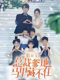 一胎五宝总裁爹地马甲藏不住 第12集